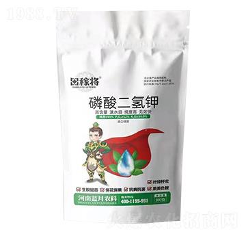 ��������-��ڌ�-�{(l��n)���r(n��ng)��