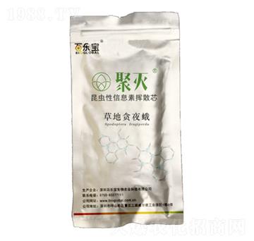 �ۜ�ݵ�؝ҹ�����Tо-�٘���