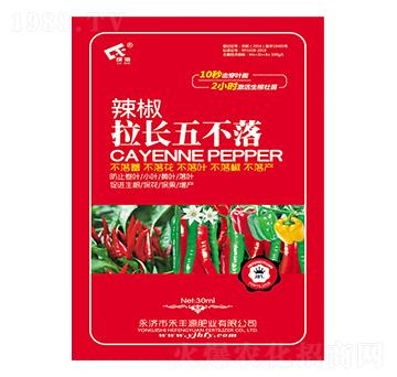 辣椒拉長五不落-禾豐源肥業(yè)