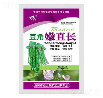 豆角嫩直長(zhǎng)-禾豐源肥業(yè)