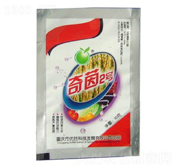 奇茵2號-優(yōu)勝