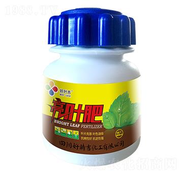 亮葉肥-好時(shí)吉