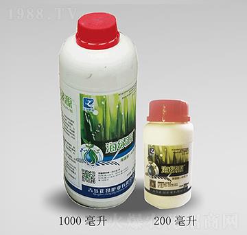 液體海藻肥-海綠源-正昂肥業(yè)