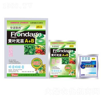 黃葉死苗A+B-華諾聯(lián)邦