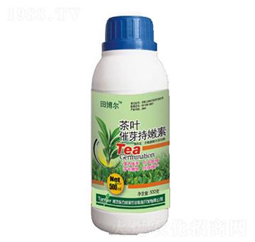 ���~��ѿ���ۄ�-�|������