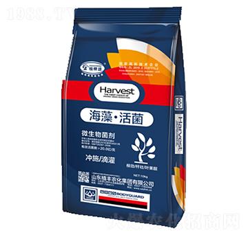 海藻·活菌微生物菌劑-植棵盛-植豐農(nóng)化