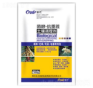 ���͡����ز������{(di��o)��(ji��)��-�|����(r��n)��