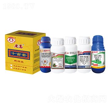 ����һ����Ч�ײͣ�ʮ���ף�-�����r�I(y��)