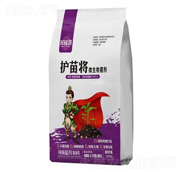 微生物菌劑-護(hù)苗將-田稼將-藍(lán)月農(nóng)科
