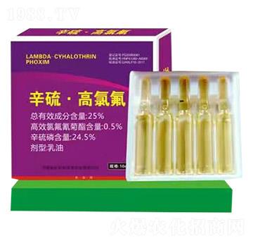 25%���򡤸��ȷ�-���ְ���