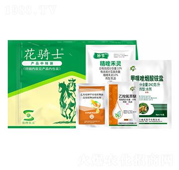 ���݄��ײ�-���Tʿ-�S