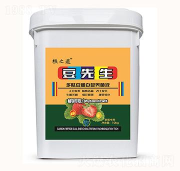 草莓專用多肽豆蛋白營養(yǎng)菌液-豆先生-根之道