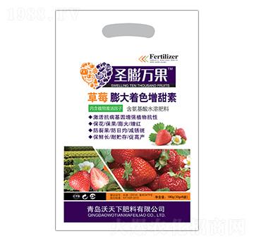 ��ݮ���������ɫ��-ʥ���f(w��n)��-������