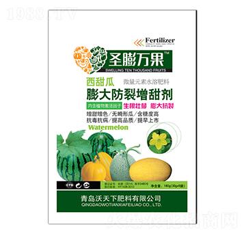 �����������������-ʥ���f��-������