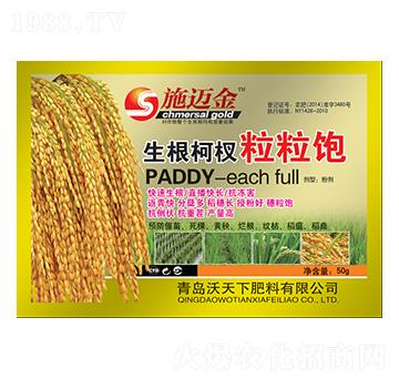 ������������-ʩ�~��-������