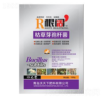 �ݲ�ѿ�ߗU��-���-������