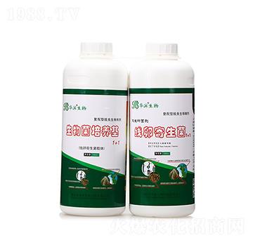 ��������B(y��ng)��+���Ѽ���