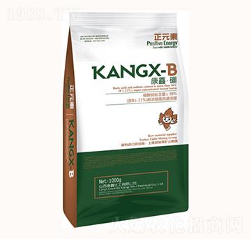 康鑫·硼-康鑫化工