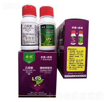 20%������+ֲ���ޏ̈́�-�ƿ����b-���ְ���