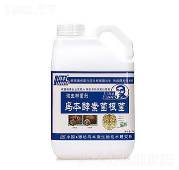 微生物菌劑-島本酵素菌根菌-華濱生物