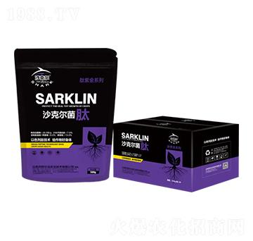 ɳ�ˠ�����-�������r(n��ng)�I(y��)