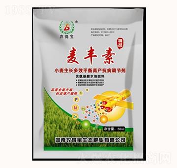 小麥生長(zhǎng)多效平衡高產(chǎn)抗病調(diào)節(jié)劑-豐麥素-農(nóng)得寶
