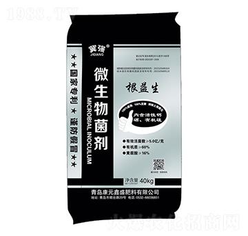 ������-��Ԫ��ʢ