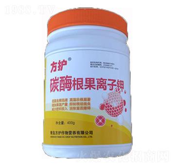 碳酶根果離子鉀-方護(hù)