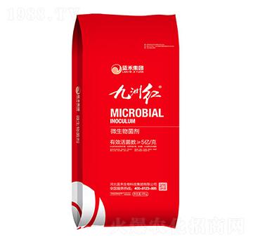 5億菌微生物菌劑-九洲紅-藍(lán)禾生物