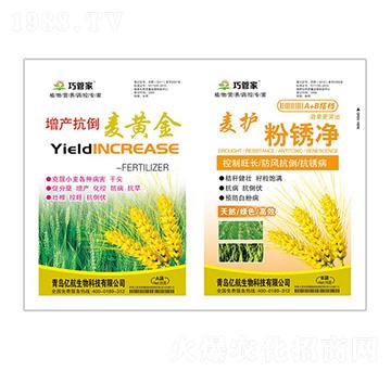 增產(chǎn)抗倒麥黃金+麥護粉銹凈-貝能生物