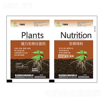 ��(qi��ng)���������焩+����ĸ��-ؐ������