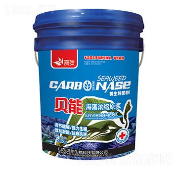 貝能海藻濃縮原漿-貝能生物