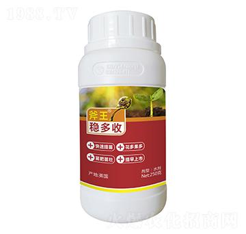 250g穩(wěn)多收-斧王-天宸夢