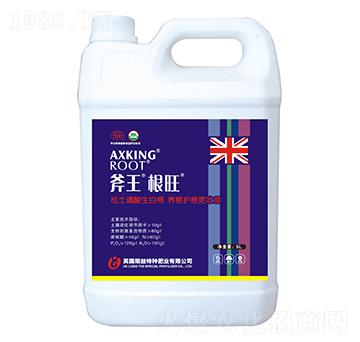 斧王根旺-天宸夢