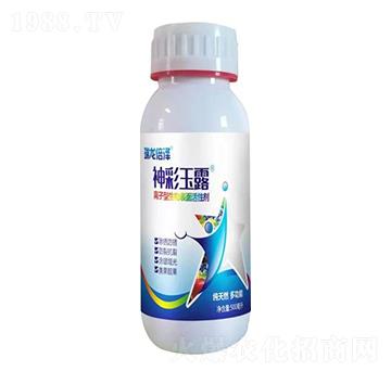 �����¶ �������� ���d����