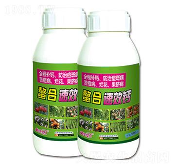 ����Ч�} �R������