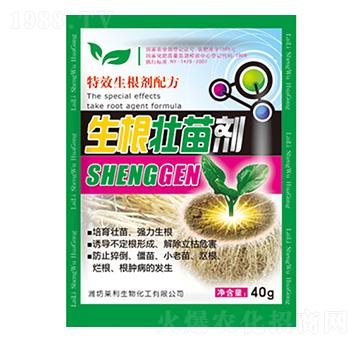 �������焩 �R������