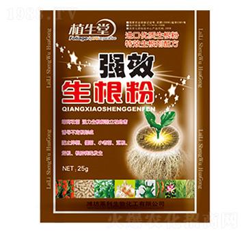 ������ �R������