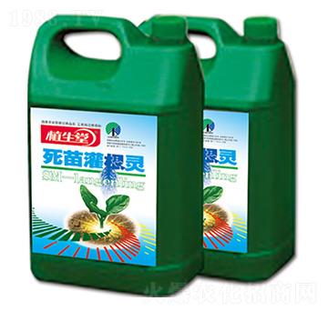 ���砀���` ֲ���� �R������