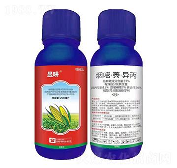 玉米田除草劑-昱畊-瑞田達