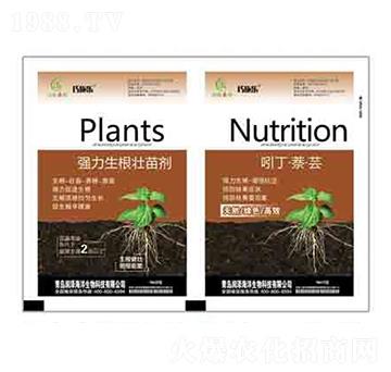 強(qiáng)力生根壯苗劑+吲丁·萘·蕓 潤(rùn)澤