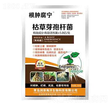 �ݲ�ѿ�ߗU�� ���[���� ��(r��n)��