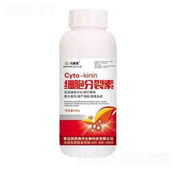 ��(x��)�������� ��(r��n)��