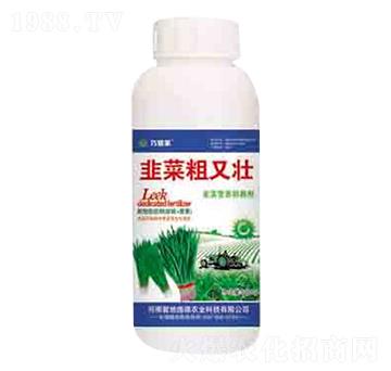 韭菜粗又壯 潤澤