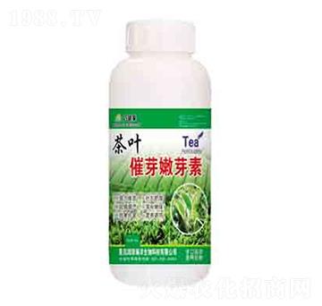 茶葉催芽嫩芽素 潤澤