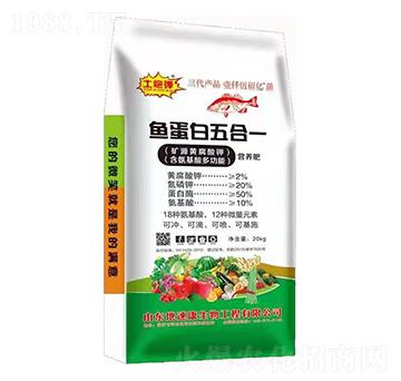 魚蛋白五合一-土炮彈-地速康