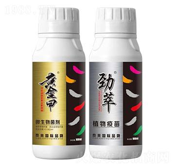 黃點(diǎn)靶斑雙效組合-泰來(lái)國(guó)際