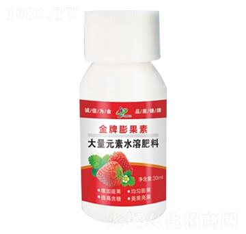 草莓專用大量元素水溶肥 金牌膨果素 金牌化工