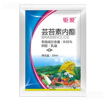 0.01%蕓苔素內酯 鉅愛 鉅邦農業(yè)