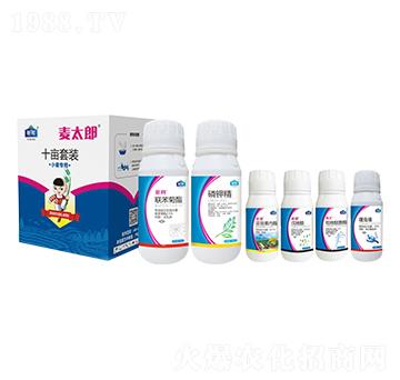 小麥專用十畝套裝 麥太郎 鉅邦農(nóng)業(yè)